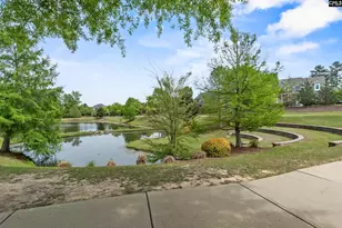 432 Sapphire Ln, Chapin, SC 29036 - Photo 45