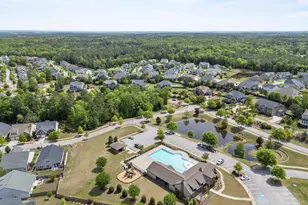 432 Sapphire Ln, Chapin, SC 29036 - Photo 47