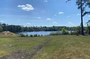 208 Heddon Dr, Lexington, SC 29072 - Photo 55