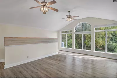 117 Bogater Road, Chapin, SC 29036 - Photo 41