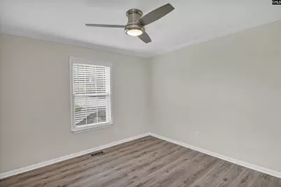 117 Bogater Road, Chapin, SC 29036 - Photo 67
