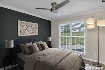 117 Bogater Road, Chapin, SC 29036 - Photo 65