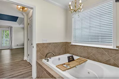 117 Bogater Road, Chapin, SC 29036 - Photo 51