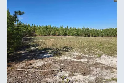 952 Mt Zion Road, Camden, SC 29020 - Photo 5