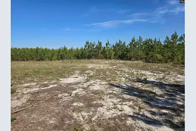 952 Mt Zion Road, Camden, SC 29020 - Photo 7