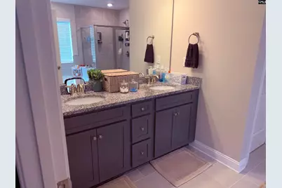 620 Chatham Way, Chapin, SC 29036 - Photo 13