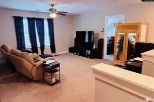 620 Chatham Wy, Chapin, SC 29036 - Photo 11