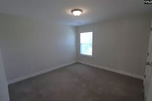 432 Thayer St, Chapin, SC 29036 - Photo 41
