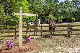 146 Williams Rd, Camden, SC 29020 - Photo 53