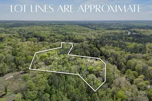 2719 Wildflower Rd, Blythewood, SC 29016 - Photo 49