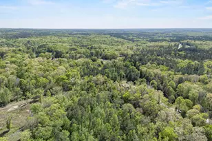 2719 Wildflower Rd, Blythewood, SC 29016 - Photo 45