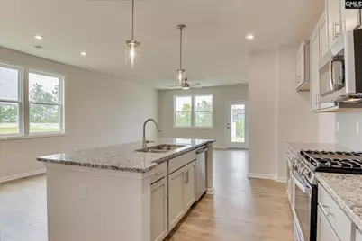 261 Summer Orchard Drive, Lexington, SC 29072 - Photo 15
