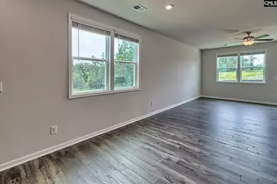 572 Swamp Grass Drive, Columbia, SC 29209 - Photo 11