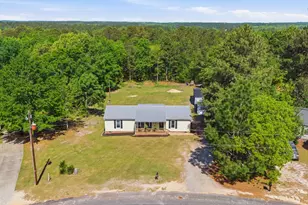 236 Drawdebil Ct, Gilbert, SC 29054 - Photo 3
