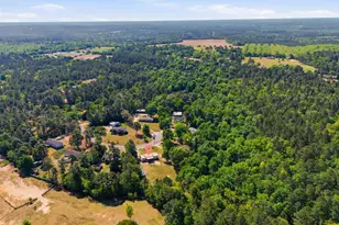 236 Drawdebil Ct, Gilbert, SC 29054 - Photo 29