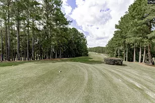 1025 Primrose Dr, Blythewood, SC 29016 - Photo 73