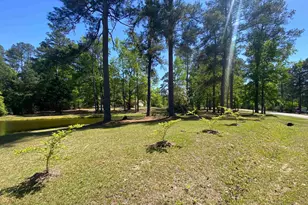 540 Little Creek Dr, Leesville, SC 29070 - Photo 53