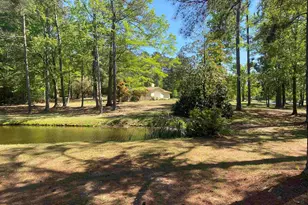 540 Little Creek Dr, Leesville, SC 29070 - Photo 51