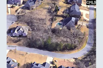 338 Old Wood Drive, Columbia, SC 29212 - Photo 1