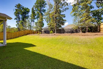 621 Falling Leaf Lane, Chapin, SC 29036 - Photo 39
