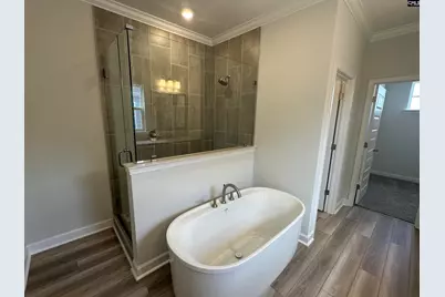 621 Falling Leaf Lane, Chapin, SC 29036 - Photo 15