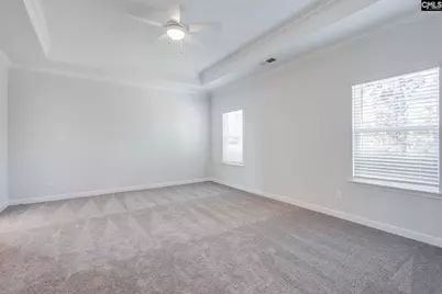 621 Falling Leaf Lane, Chapin, SC 29036 - Photo 19