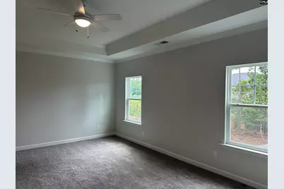 621 Falling Leaf Lane, Chapin, SC 29036 - Photo 11
