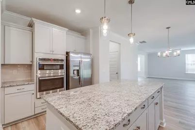 621 Falling Leaf Lane, Chapin, SC 29036 - Photo 11