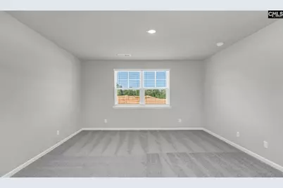 430 Leathertree Lane, Blythewood, SC 29016 - Photo 17