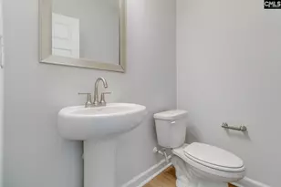 625 Falling Leaf Ln, Chapin, SC 29036 - Photo 23