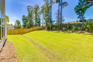 625 Falling Leaf Ln, Chapin, SC 29036 - Photo 41