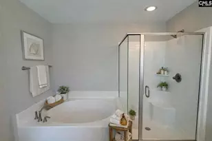 1123 Bergenfield Ln, Chapin, SC 29036 - Photo 11