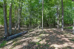 122 Lost Lure Ln, Chapin, SC 29036 - Photo 69