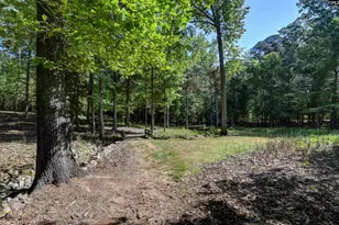 122 Lost Lure Ln, Chapin, SC 29036 - Photo 67