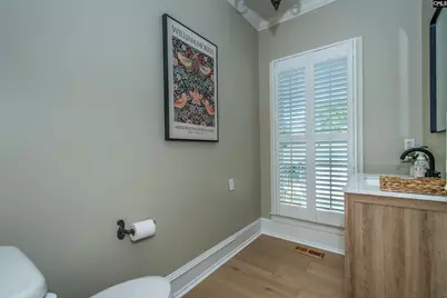 134 Bogater Road, Chapin, SC 29036 - Photo 39