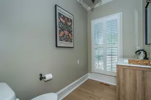 134 Bogater Rd, Chapin, SC 29036 - Photo 39
