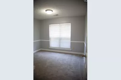14 Lucerne Drive, Elgin, SC 29045 - Photo 13