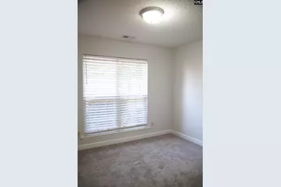 14 Lucerne Drive, Elgin, SC 29045 - Photo 15