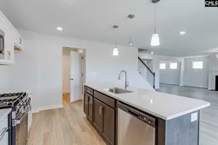 1137 Crescent Corner Dr, Elgin, SC 29045 - Photo 13
