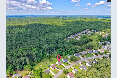 407 Sesqui Trail, Columbia, SC 29223 - Photo 3