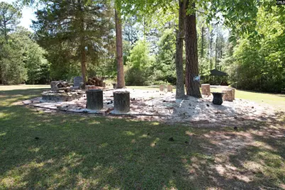 1121 Canterfield Road, Chapin, SC 29036 - Photo 49