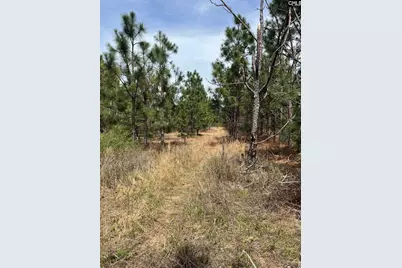 Bdf 6 Beaverdam Road #BDF 6, Cassatt, SC 29032 - Photo 1