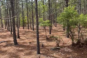 Bdf 8 Beaverdam Rd, Cassatt, SC 29032 - Photo 1