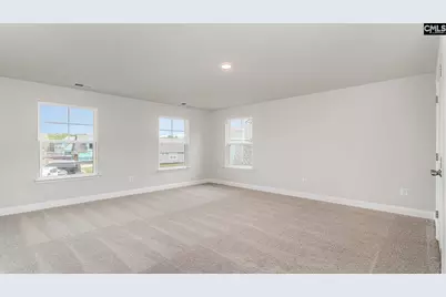 256 Livingston Woods Drive, Irmo, SC 29063 - Photo 25