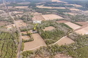 5307 Edisto River Rd, Branchville, SC 29432 - Photo 27