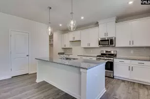 313 Brass Billion Path, Lexington, SC 29073 - Photo 11