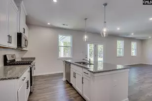 313 Brass Billion Path, Lexington, SC 29073 - Photo 13