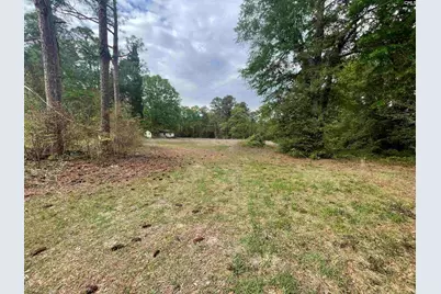 231 Ladybug Road, Neeses, SC 29107 - Photo 1