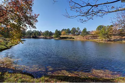 609 Gladiolus Drive, Columbia, SC 29229 - Photo 33