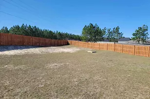 51 Texas Black Way, Elgin, SC 29045 - Photo 13